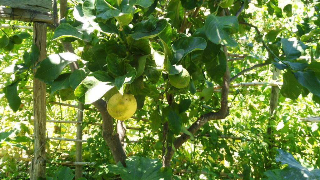 la Casetta della Nonna Appartamento Patti Esterno foto